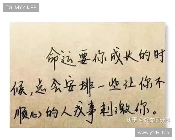 从学历低到商业巨头:一位企业家的奋斗与成功之路